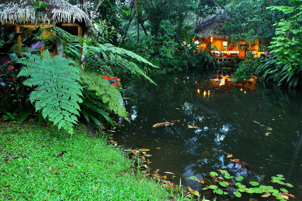 Hacienda La Isla Lodge Sarapiquí エクステリア 写真