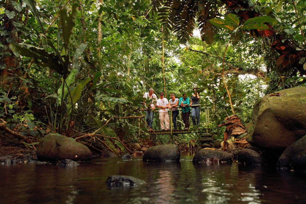Hacienda La Isla Lodge Sarapiquí エクステリア 写真