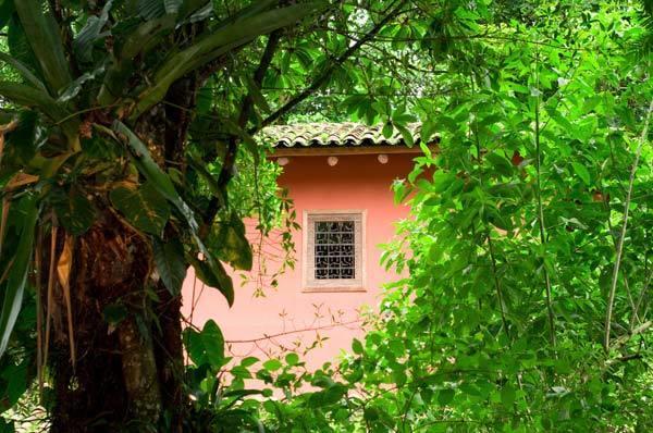 Hacienda La Isla Lodge Sarapiquí エクステリア 写真